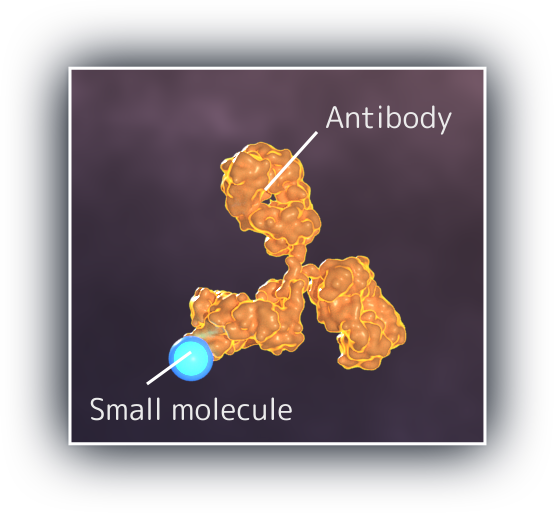 Small Molecule Antibody